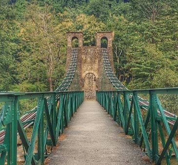 Suspension bridge 